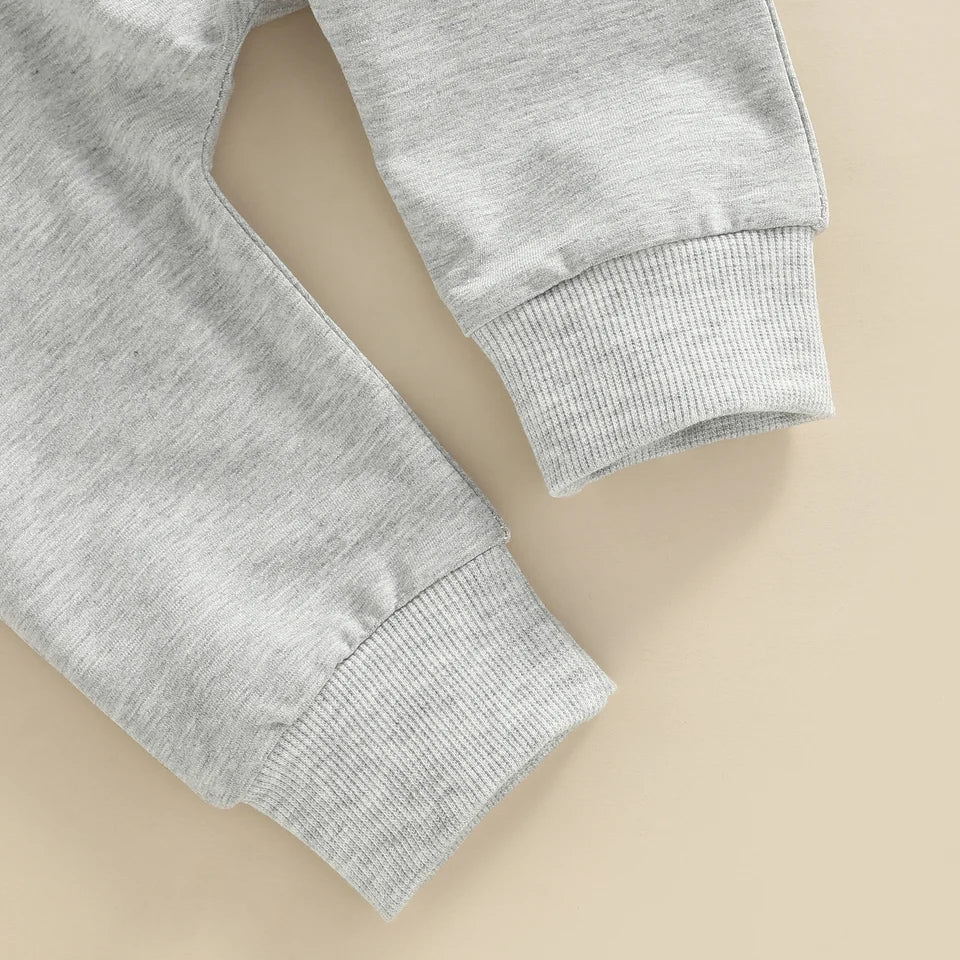Newborn 2Pcs Outfit Set | Baby Hooded Pullover &amp; Trousers Clothes | Soft Infant Tracksuit for Boys Girls 0-3 Years