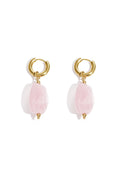 Resin Drop Earrings irregular shape Casual Daily Simple Series Women's jewelry