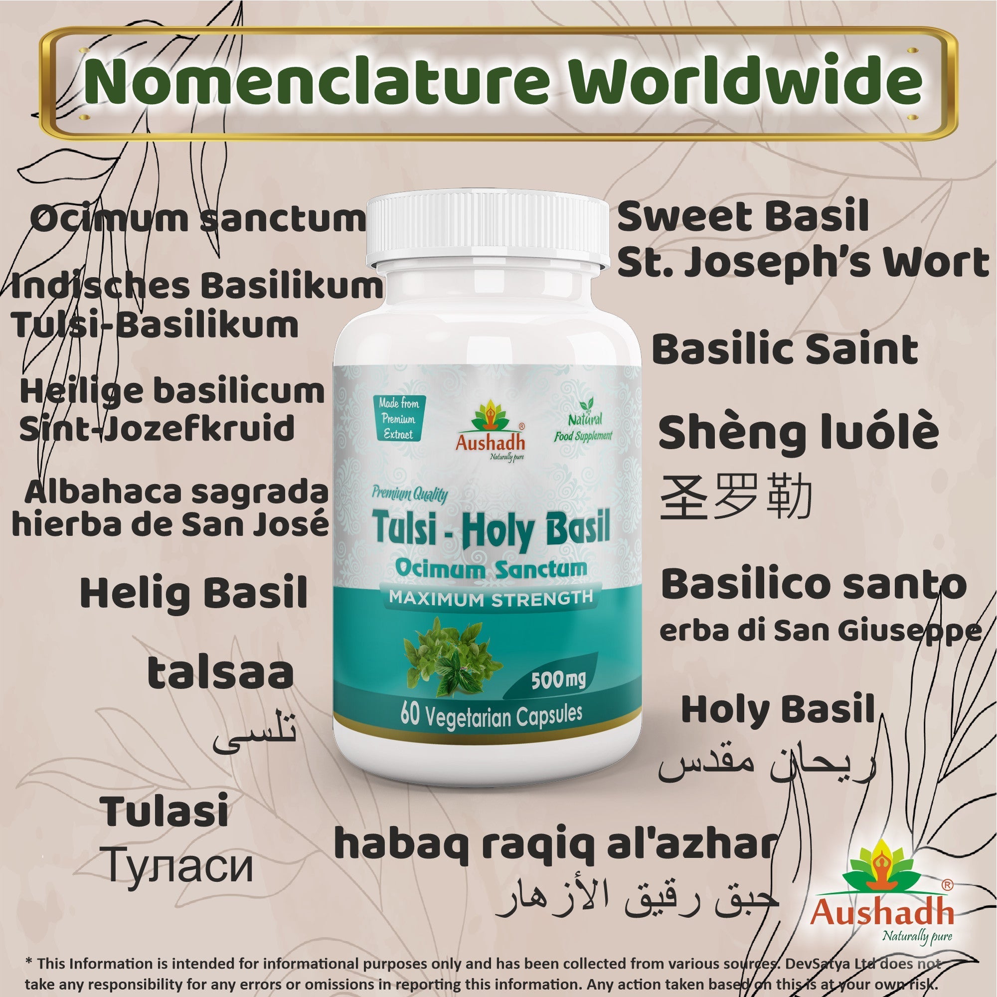 Aushadh Holy Basil Capsules (Tulsi) Stress Balance & Immune Wellness Support - Vegan, Gluten Free, Non-GMO, 60 Capsules-2