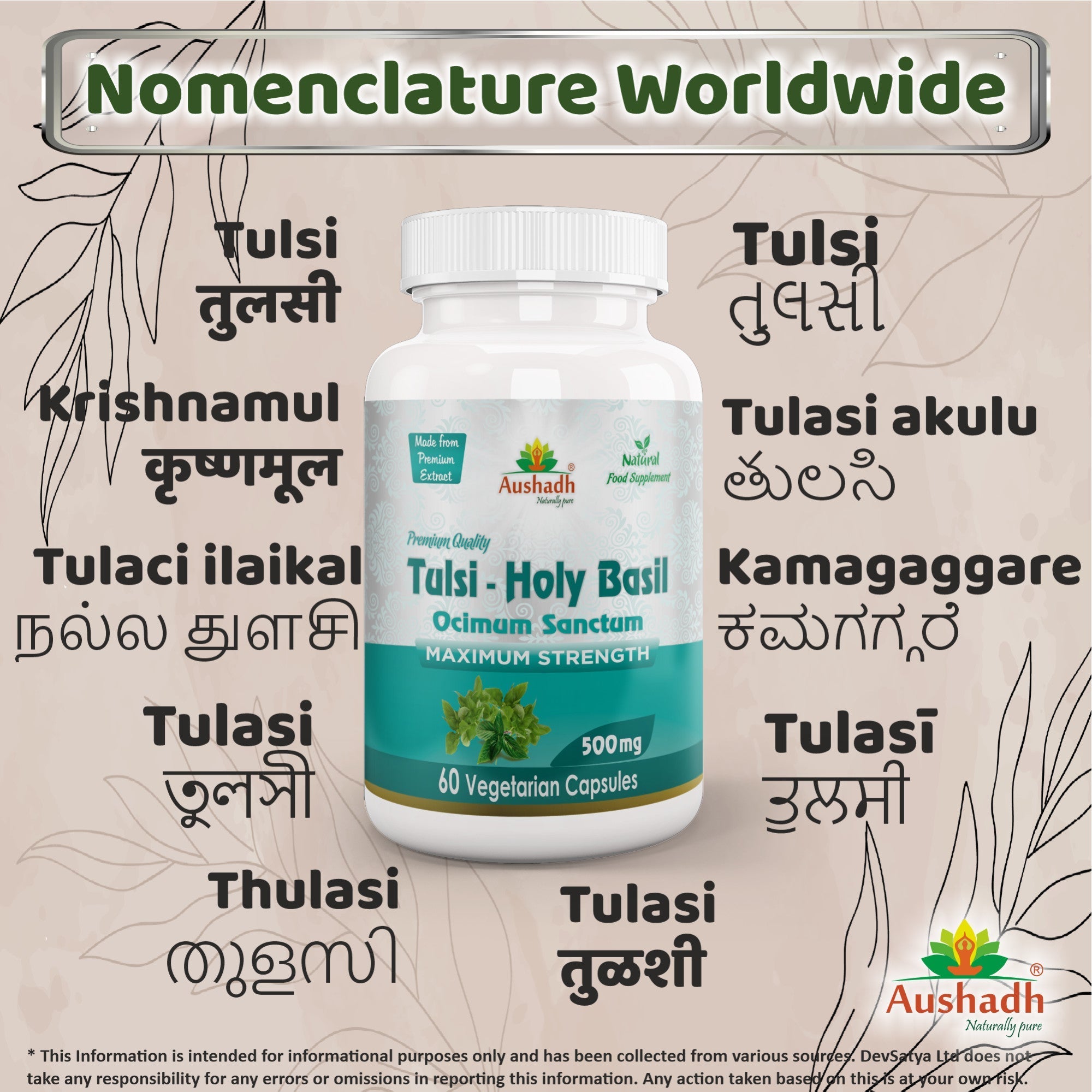 Aushadh Holy Basil Capsules (Tulsi) Stress Balance & Immune Wellness Support - Vegan, Gluten Free, Non-GMO, 60 Capsules-3